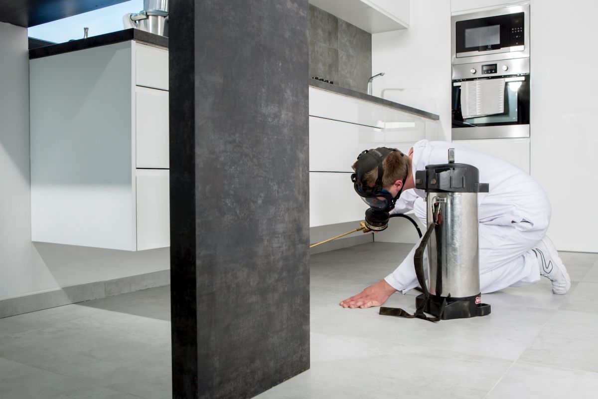 arat-deratyzacja-dezynsekcja-dezynfekcja